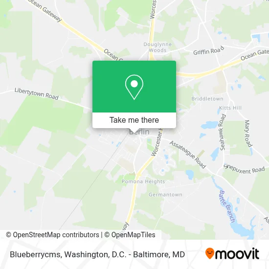 Blueberrycms map