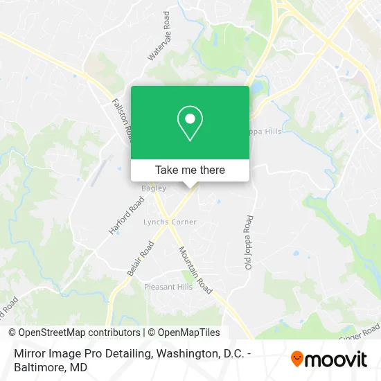 Mirror Image Pro Detailing map