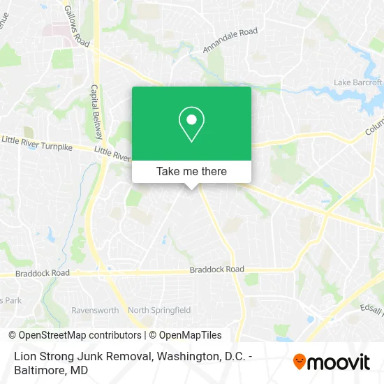 Lion Strong Junk Removal map