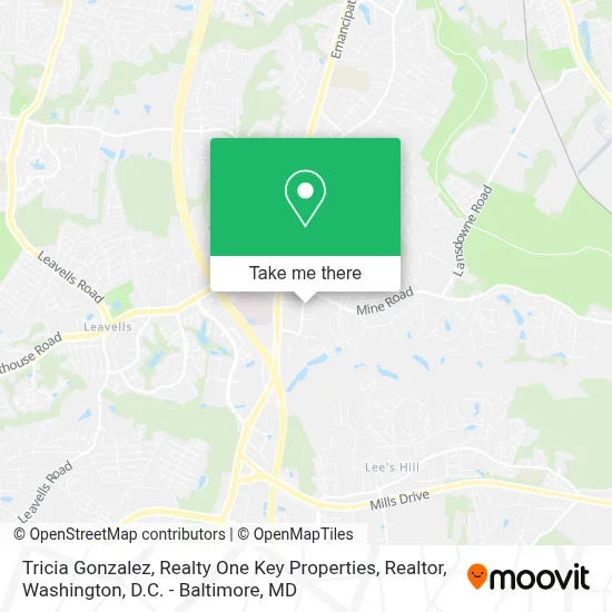 Tricia Gonzalez, Realty One Key Properties, Realtor map
