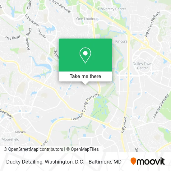 Ducky Detailing map