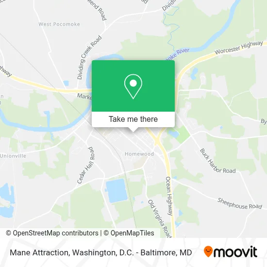 Mane Attraction map