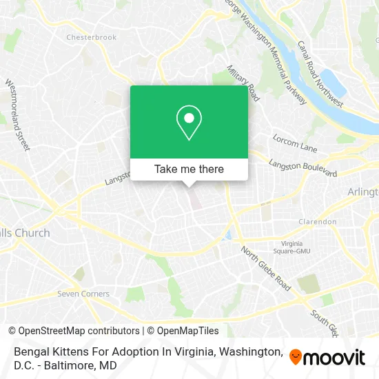 Bengal Kittens For Adoption In Virginia map