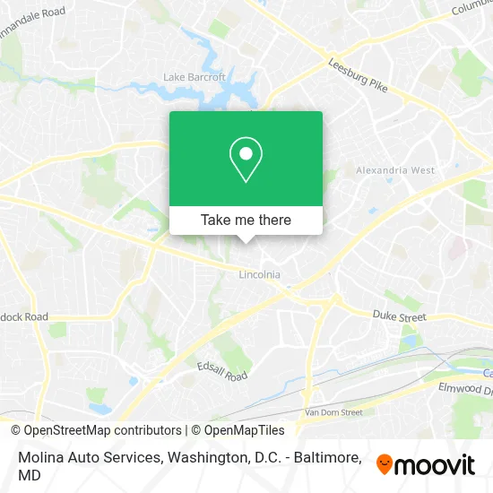 Molina Auto Services map