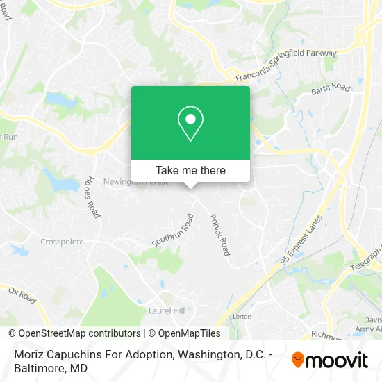Moriz Capuchins For Adoption map