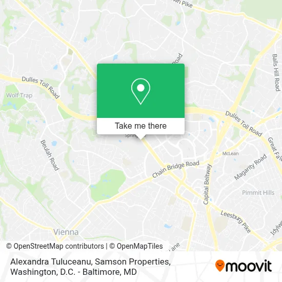 Alexandra Tuluceanu, Samson Properties map