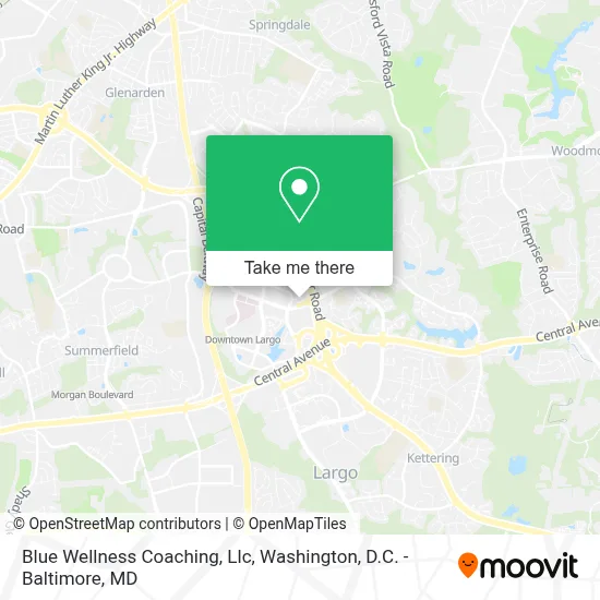 Blue Wellness Coaching, Llc map