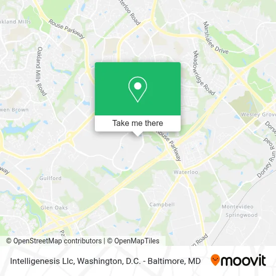 Intelligenesis Llc map