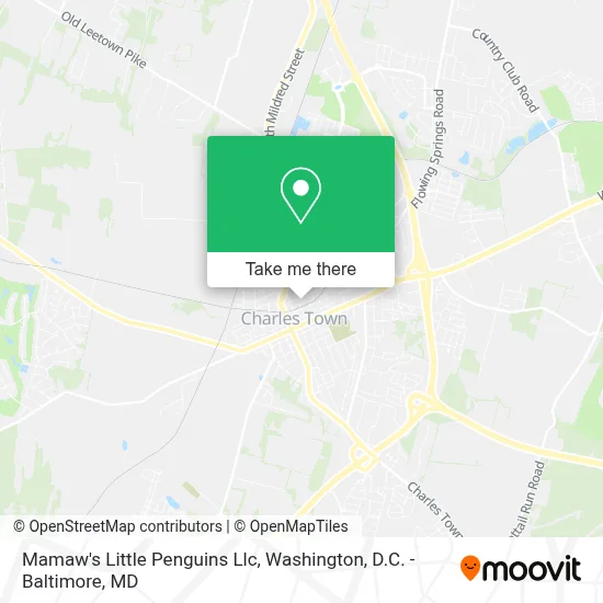 Mamaw's Little Penguins Llc map