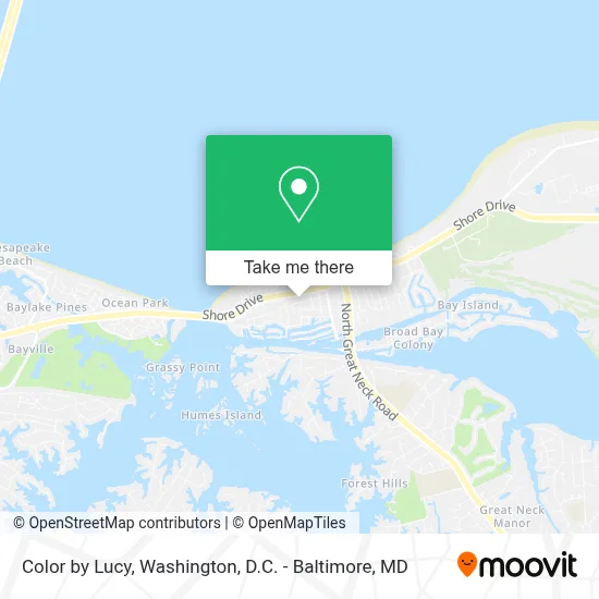 Color by Lucy map