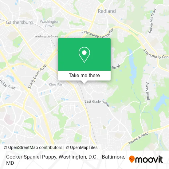 Cocker Spaniel Puppy map