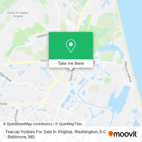 Teacup Yorkies For Sale In Virginia map