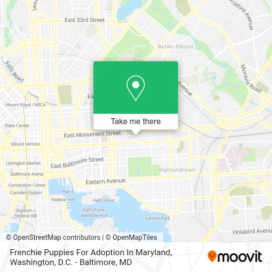 Frenchie Puppies For Adoption In Maryland map