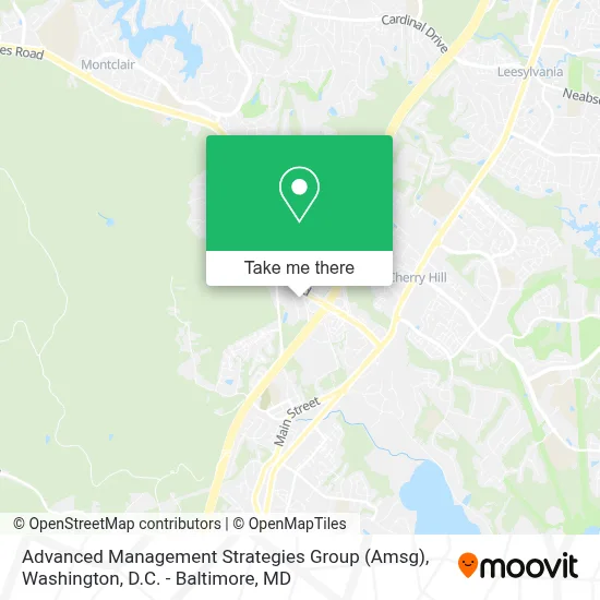 Advanced Management Strategies Group (Amsg) map