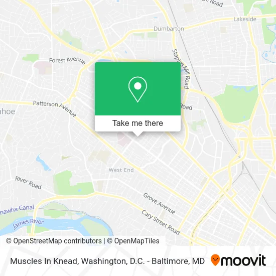 Muscles In Knead map