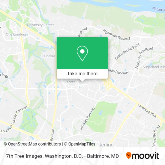 7th Tree Images map