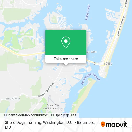 Shore Dogs Training map
