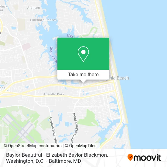 Baylor Beautiful - Elizabeth Baylor Blackmon map