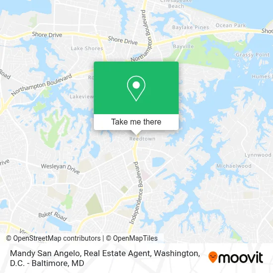 Mandy San Angelo, Real Estate Agent map