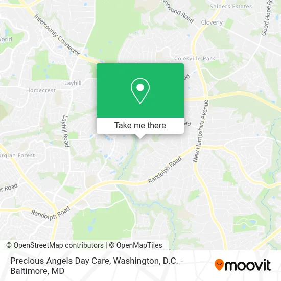Precious Angels Day Care map