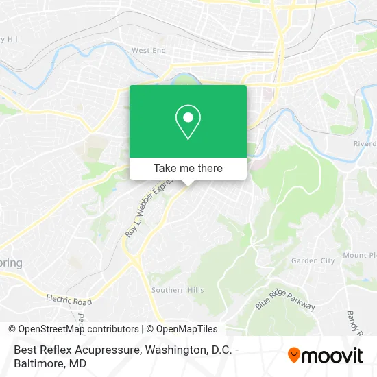 Best Reflex Acupressure map