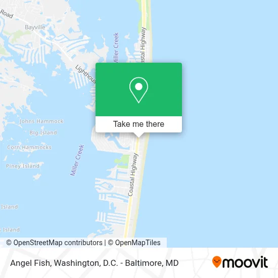 Angel Fish map