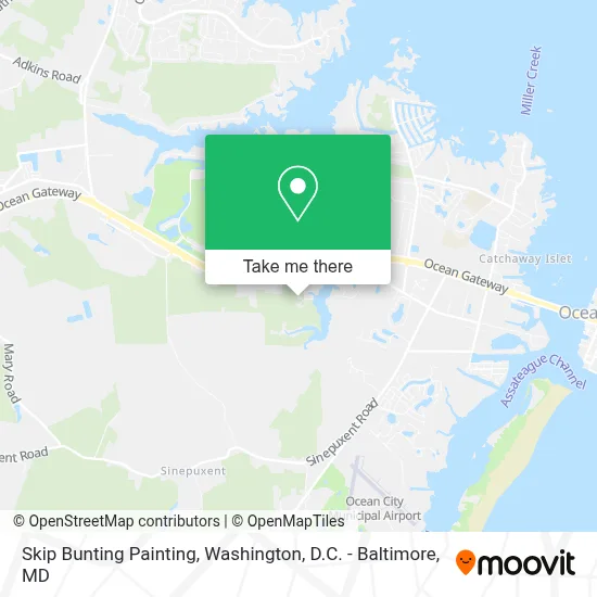 Skip Bunting Painting map