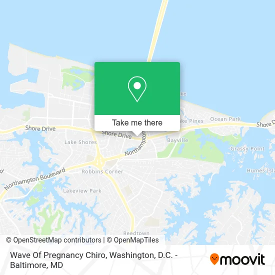 Wave Of Pregnancy Chiro map