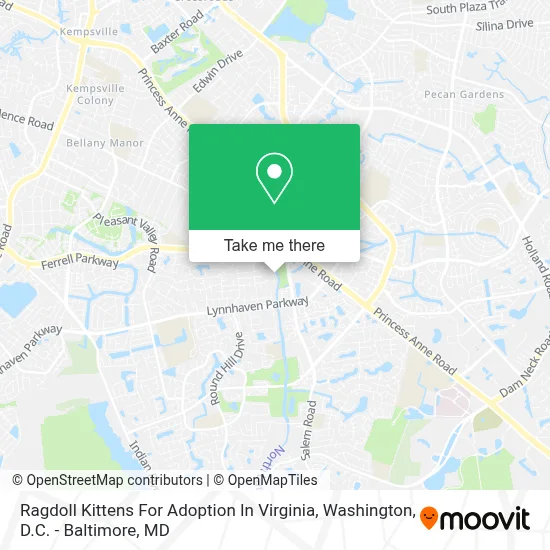 Ragdoll Kittens For Adoption In Virginia map