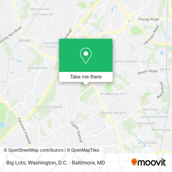 Big Lots map