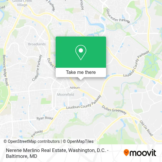 Nerene Merlino Real Estate map