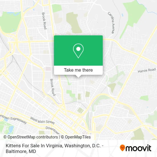 Kittens For Sale In Virginia map