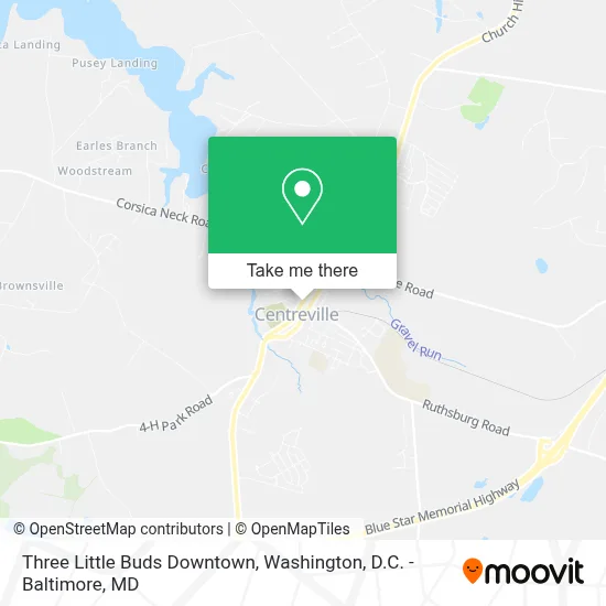 Three Little Buds Downtown map