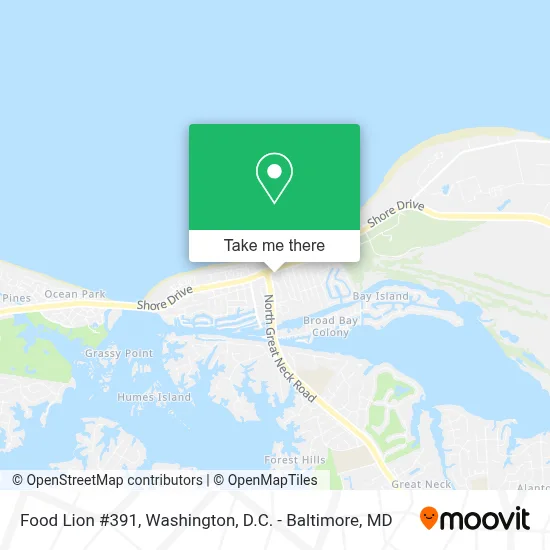 Food Lion #391 map