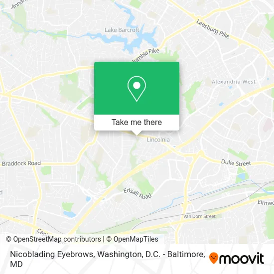 Nicoblading Eyebrows map