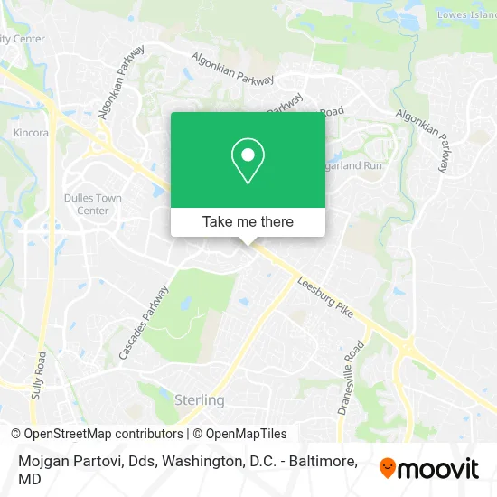 Mojgan Partovi, Dds map