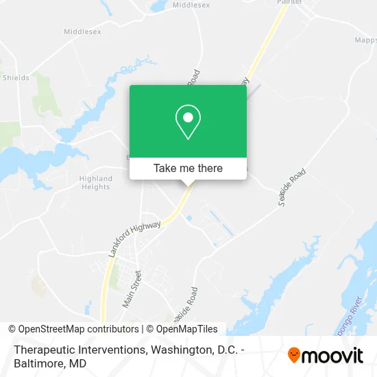 Therapeutic Interventions map