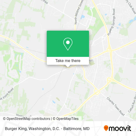 Burger King map