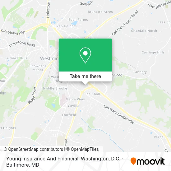 Young Insurance And Financial map