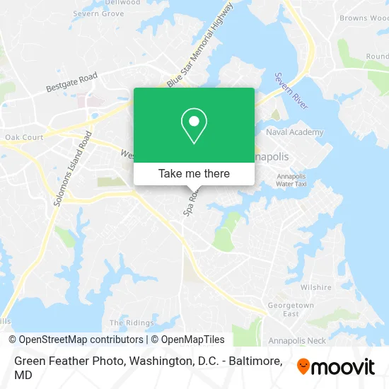 Green Feather Photo map