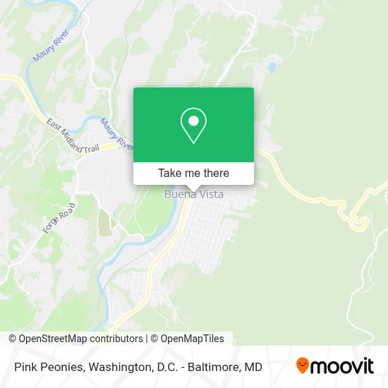 Pink Peonies map