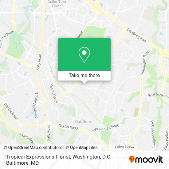 Tropical Expressions Florist map