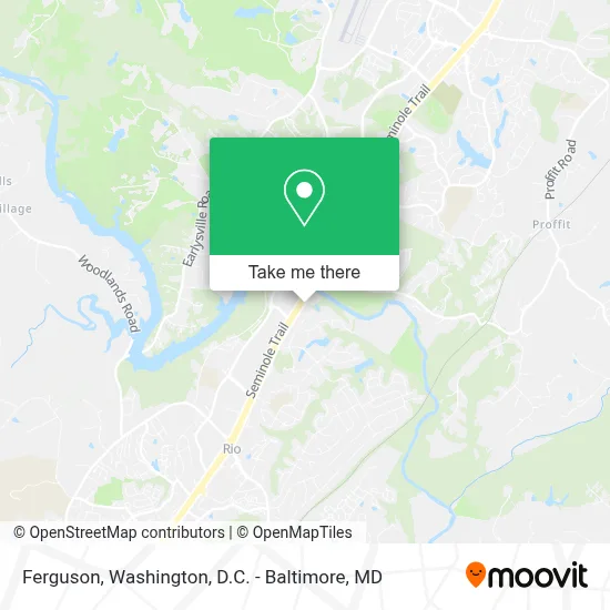 Ferguson map