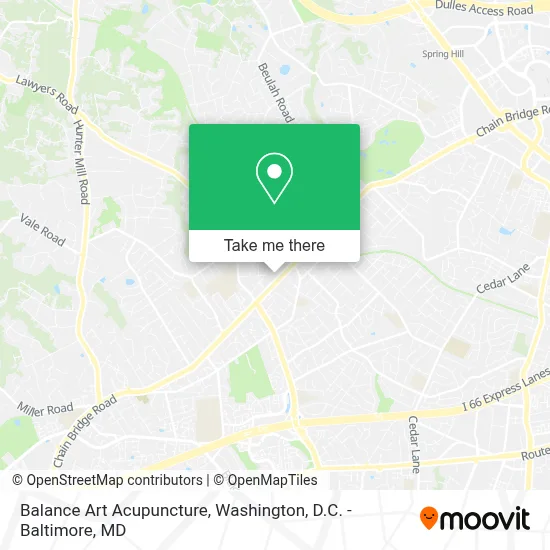 Balance Art Acupuncture map