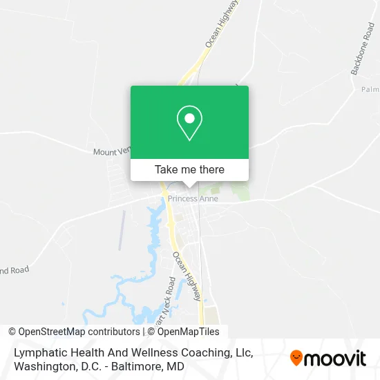 Lymphatic Health And Wellness Coaching, Llc map