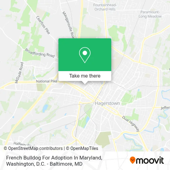 French Bulldog For Adoption In Maryland map