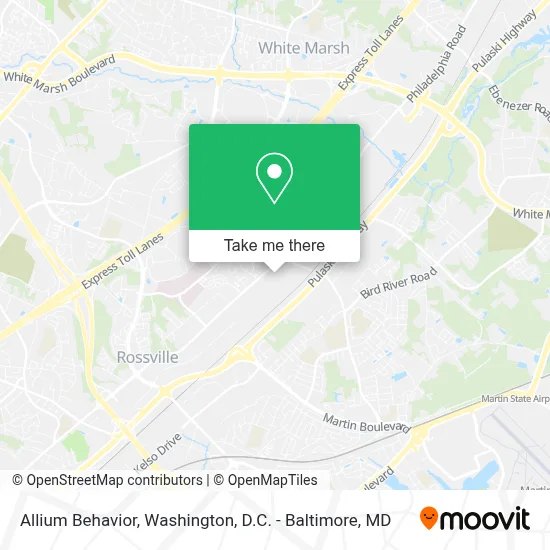 Allium Behavior map