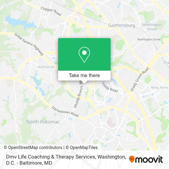 Dmv Life Coaching & Therapy Services map