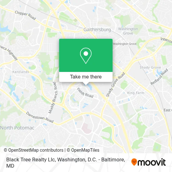 Black Tree Realty Llc map
