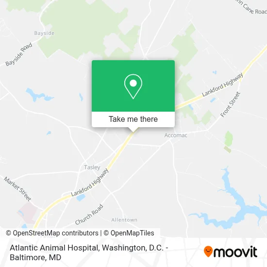 Atlantic Animal Hospital map